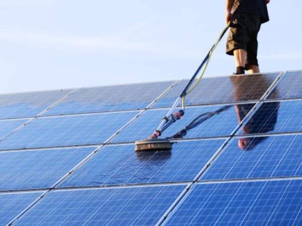 Top Notch Solar Panel Cleaning & Bird Proofing