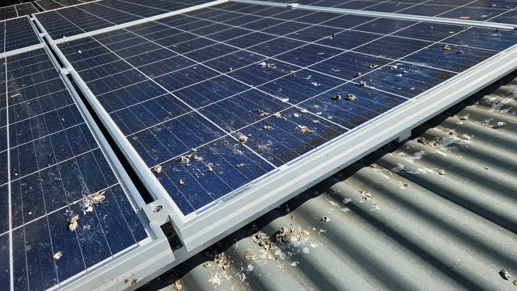 Seaford Solar Cleaning