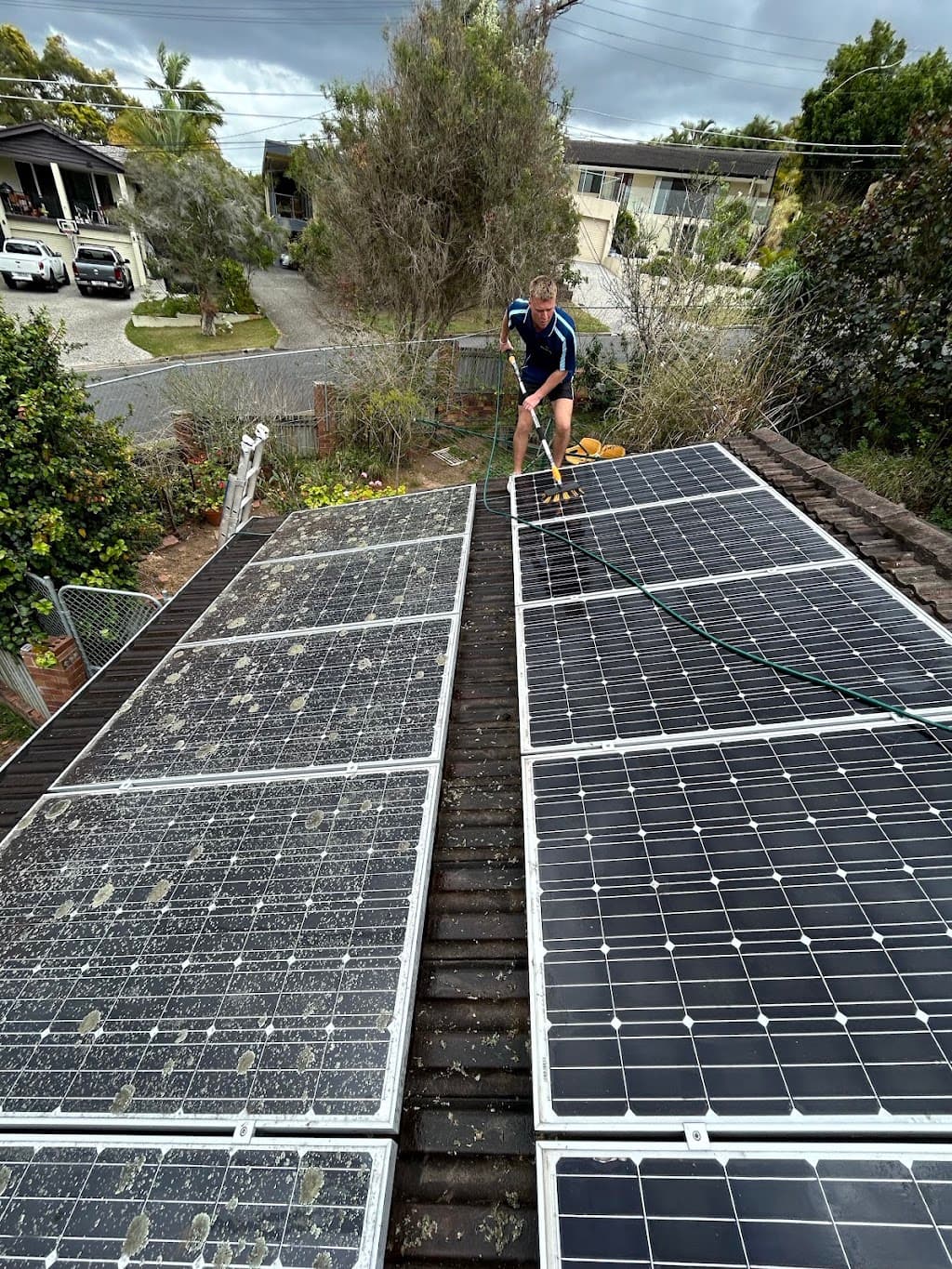 Solar Panel Bird Proofing | Shine Panel Care