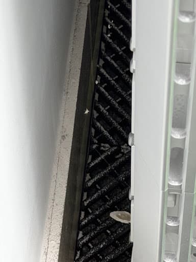 Canberra Solar Shine — Customer photo