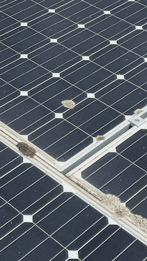 Rays Solar Panel Cleaning — Customer photo