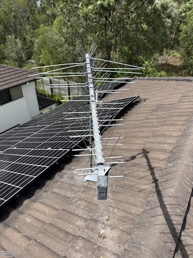 Solar Panel Bird Proofing | Shine Panel Care — Customer photo