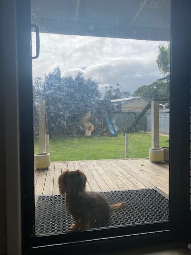 J&J's window cleaning, Bunbury. — Customer photo