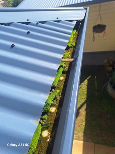 J&J's window cleaning, Bunbury. — Customer photo