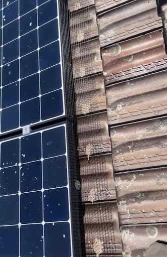 Solar Panel Bird Proofing | Shine Panel Care — Customer photo