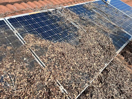 Solar Shine Australia — Customer photo