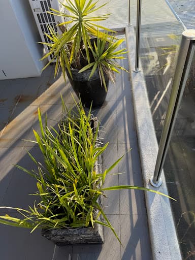 AO Green Solutions — Customer photo