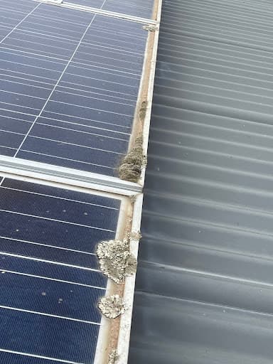 Rays Solar Panel Cleaning — Customer photo