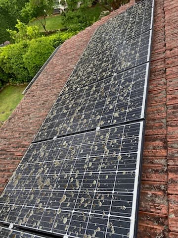 Spotless Solar Care — Customer photo