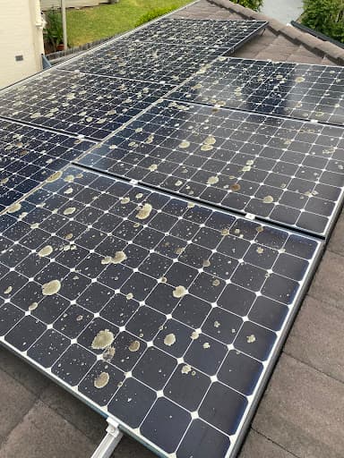 Spotless Solar Care — Customer photo
