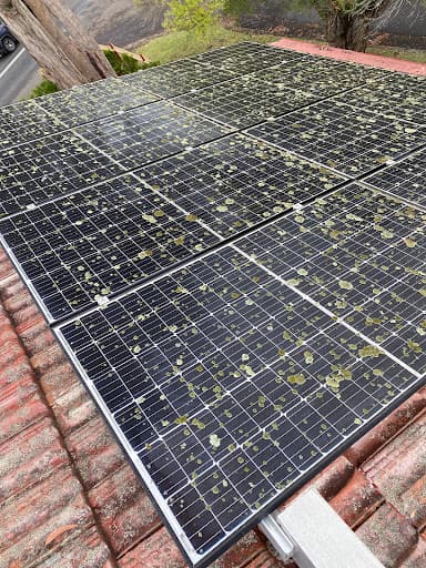 Spotless Solar Care — Customer photo