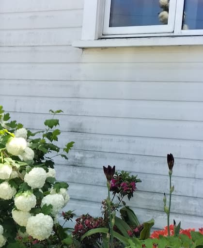 Prowash External Cleaning — Customer photo