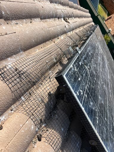 Capital Solar Panels Cleaning — Customer photo