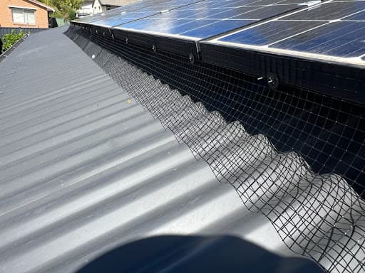Capital Solar Panels Cleaning — Customer photo