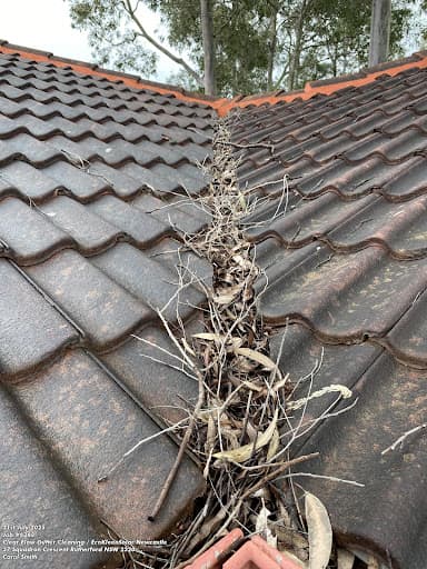 EcoKleenSolar Newcastle — Customer photo