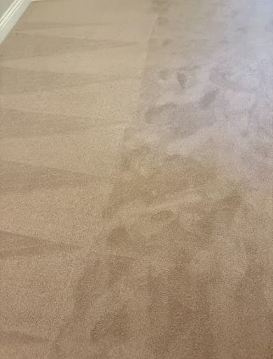 Shepp City Carpet Cleaning — Customer photo
