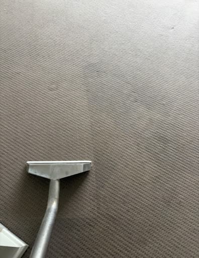 Shepp City Carpet Cleaning — Customer photo