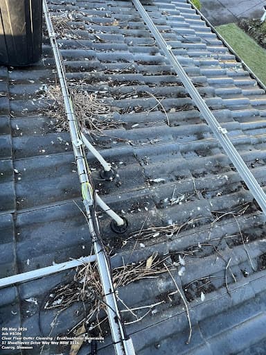 EcoKleenSolar Newcastle — Customer photo